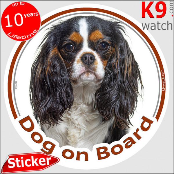 Tricolor Cavalier King Charles Spaniel, car circle sticker "Dog on board" Decal label photo notice