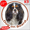 Cavalier King Charles, car sticker "Dog on board" 14 cm