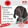 Funny Sign "Beware of the Dog, fierce German Pointer is in charge !" 24 cm