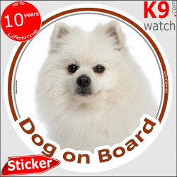Entierly white Pomeranian Head, circle sticker "Dog on board" deutsche spitz decal adhesive car label pom photo notice