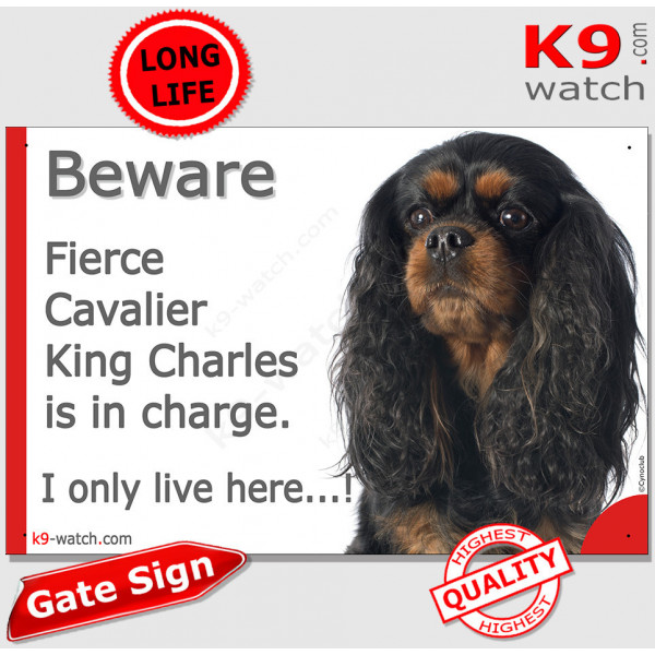 Funny Portal Sign "Beware fierce Black and Tan Cavalier King Charles is in charge. I only live here" gate photo hilarious plate
