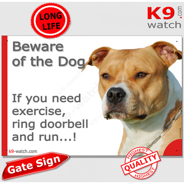 Funny amstaff hot sale