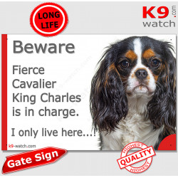 Funny Sign "Beware of the Dog, fierce Cavalier King Charles is in charge !" 24 cm