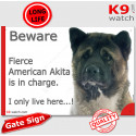 Funny Sign "Beware of the Dog, fierce American Akita is in charge !" 24 cm