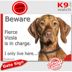 Funny Portal Sign "Beware fierce Vizsla is in charge. I only live here" gate photo hilarious plate notice, Door plaque placard
