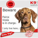 Funny Sign "Beware of the Dog, fierce Vizsla is in charge !" 24 cm