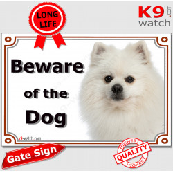 entirely white Pomeranian, portal Sign "Beware of the Dog" photo notice, gate placard pom
