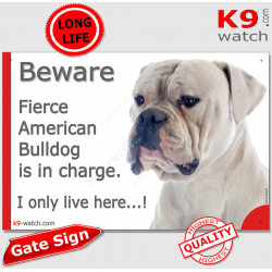 Funny Portal Sign "Beware fierce entirely white American Bulldog is in charge. I only live here" gate photo hilarious plate