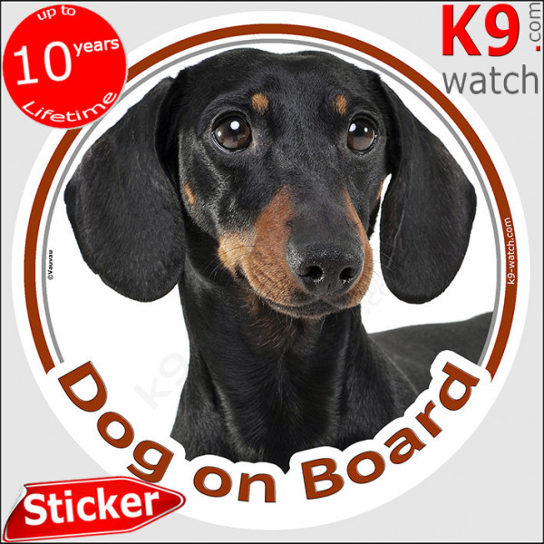 Smooth haired black & Tan Dachshund, car circle car sticker "Dog on board" decal adhesive photo notice label