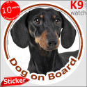 Dachshund, car circle sticker "Dog on board" 14 cm