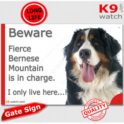 Funny Sign "Beware of the Dog, fierce Bernese Mountain is in charge !" 24 cm