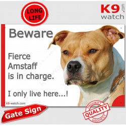 Funny Sign "Beware of the Dog, fierce Amstaff is in charge !" 24 cm