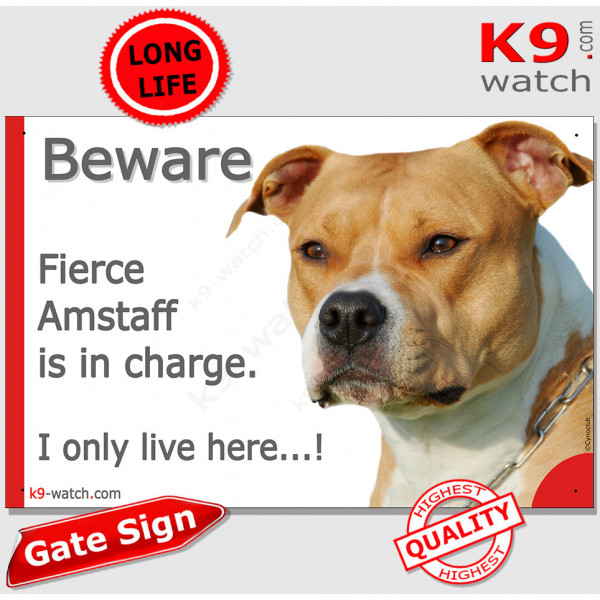 Funny Portal Sign "Beware fierce brown fawn Amstaff is in charge. I only live here" gate photo hilarious plate notice, Door