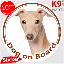 beige fawn Italian Greyhound, car circle sticker "Dog on board" Adhesive photo notice Sighthound decal label