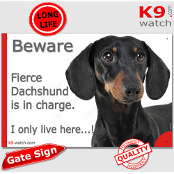 Funny Portal Sign "Beware fierce black and tan smooth-haired Dachshund is in charge. I only live here" gate photo hilarious