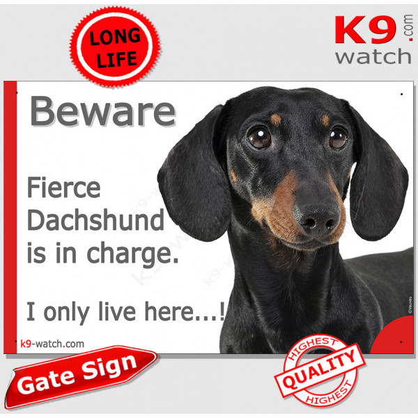 Funny Portal Sign "Beware fierce black and tan smooth-haired Dachshund is in charge. I only live here" gate photo hilarious