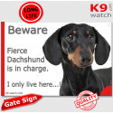 Funny Sign "Beware of the Dog, fierce Dachshund is in charge !" 24 cm