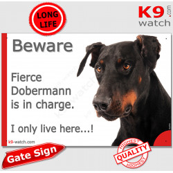 Funny Portal Sign "Beware fierce Black Tan Dobermann is in charge. I only live here" gate photo hilarious plate notice, Door 