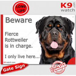 Funny Portal Sign "Beware fierce XL Rottweiler is in charge I only live here" gate plate photo notice Extra-large Russian Rottie