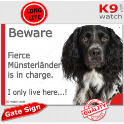 Funny Portal Sign "Beware fierce Münsterländer is in charge. I only live here" gate photo hilarious plate notice, Door plaque