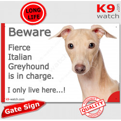 Funny Sign "Beware of the Dog, fierce Italian Greyhound is in charge !" 24 cm