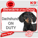 Red Portal Sign "Beware of the Dog, Dachshund on duty" gate plate photo notice, black and tan smooth hairs haired