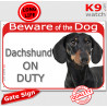 Red Portal Sign "Beware of the Dog, Dachshund on duty" gate plate photo notice, black and tan smooth hairs haired