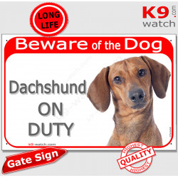 Red Portal Sign "Beware of the Dog, Dachshund on duty" gate plate photo notice red fawn smooth hairs haired