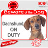 Red Portal Sign "Beware of the Dog, Dachshund on duty" gate plate photo notice red fawn smooth hairs haired