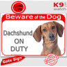 Red Portal Sign "Beware of the Dog, Dachshund on duty" 24 cm