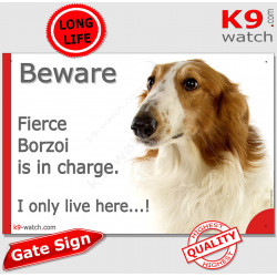 Funny Portal Sign "Beware fierce red solid Borzoi is in charge. I only live here" gate photo hilarious plate notice, Door plaque