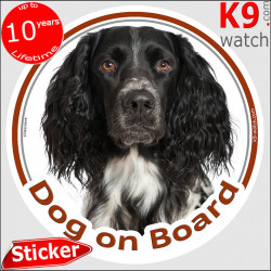 Münsterländer, car circle sticker "Dog on board" Photo notice, label decal Münster Spaniel