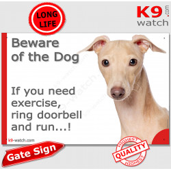 beige fawn Italian Greyhound, funny Portal Sign "Beware of the Dog, need exercise, ring & run" gate photo hilarious plate notice