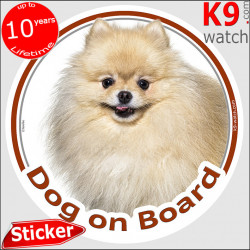 Creme Pomeranian, circle sticker "Dog on board" deutsche spitz decal adhesive car label pom photo notice beige light fawn Pom