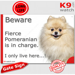 Funny Portal Sign "Beware fierce beige creme Pomeranian is in charge. I only live here" gate photo hilarious plate notice