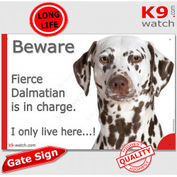 Funny Portal Sign "Beware fierce Dalmatian is in charge. I only live here" photo hilarious plate notice liver brown chocolate