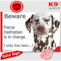 Funny Sign "Beware of the Dog, fierce Dalmatian is in charge !" 24 cm