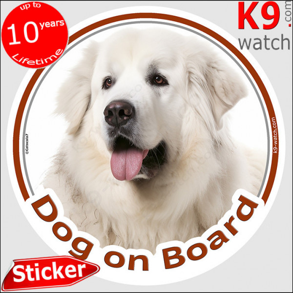 Entirely white Great Pyrenees Head, car circle sticker "Dog on board" Photo notice, label decal