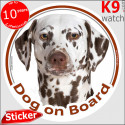 Dalmatian, car circle sticker "Dog on board" 14 cm