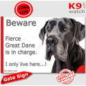 Funny Sign "Beware of the Dog, fierce Great Dane is in charge !" 24 cm