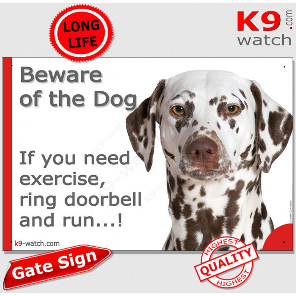 Brown Liver Chocolate Dalmatian, funny Portal Sign "Beware of the Dog, need exercise, ring & run" gate photo hilarious plate