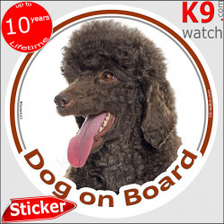 Brown Chocolate Poodle, car circle sticker "Dog on board" decal label adhesive photo notice