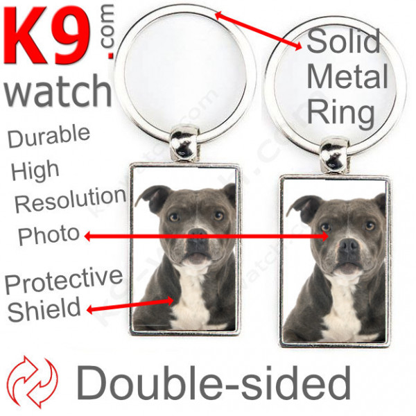 Double-sided metal key ring with photo blue grey Amstaff, metal key ring gift idea; double faced key holder metallic Staff