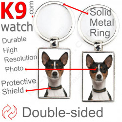 Metal key ring, double-sided photo tricolor Basenji