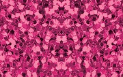 Fuschia Glitter